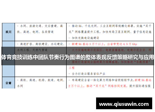 体育竞技训练中团队节奏行为图谱的整体表现反馈策略研究与应用