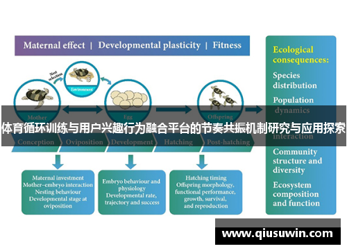 体育循环训练与用户兴趣行为融合平台的节奏共振机制研究与应用探索